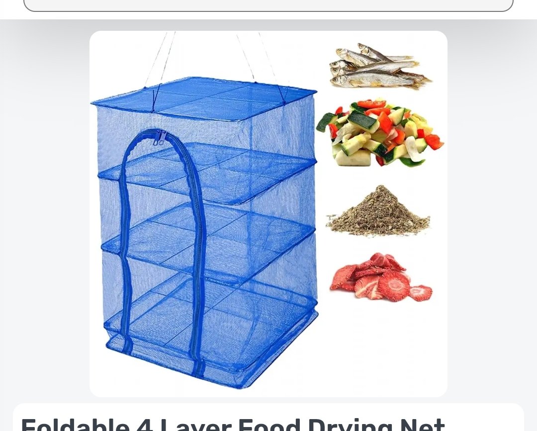 WhatsApp Image 2026-03-31 at 11.57.32 PM